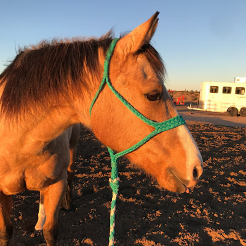 Meet your Posher, Charlie